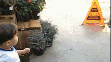 gifs_03.gif
