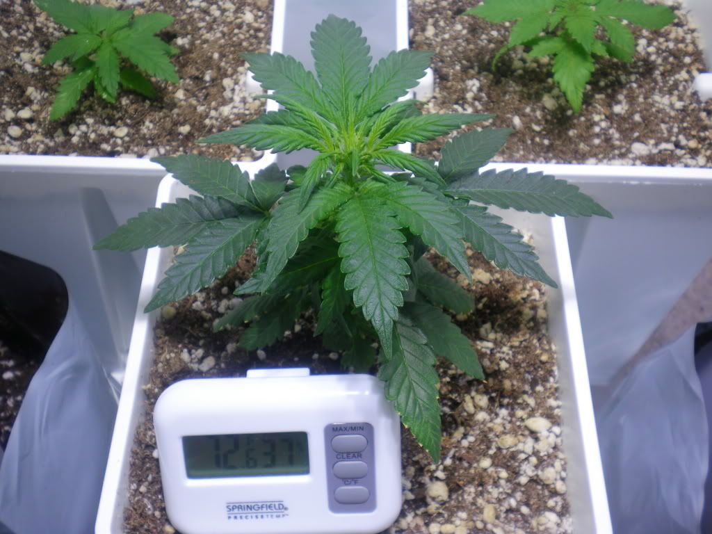 10-20-11002.jpg
