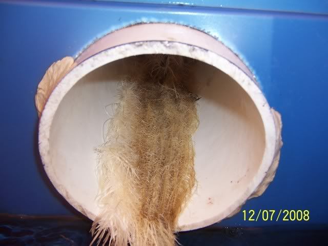 000_3903.jpg