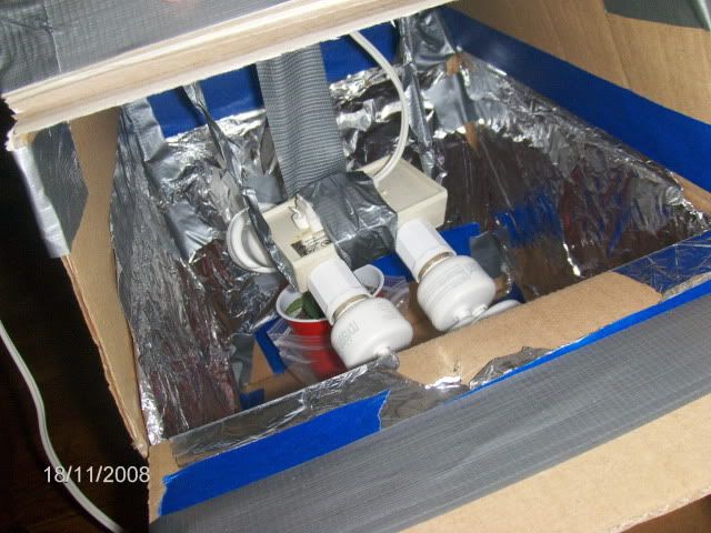 HPIM6303.jpg