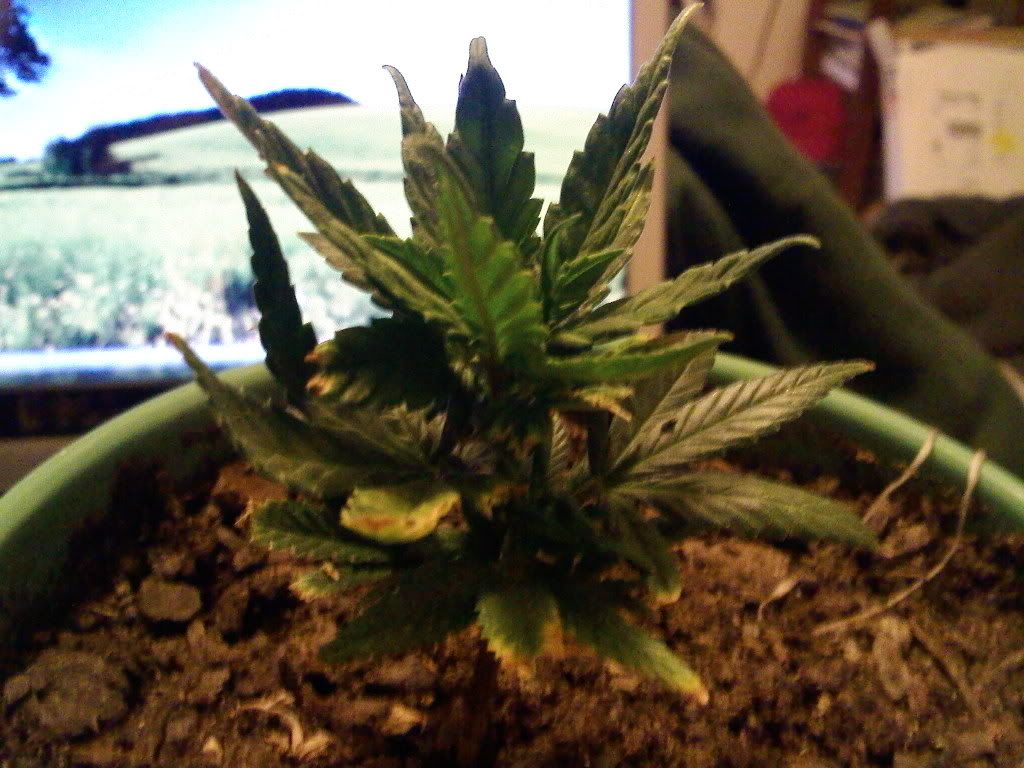 0120091646.jpg