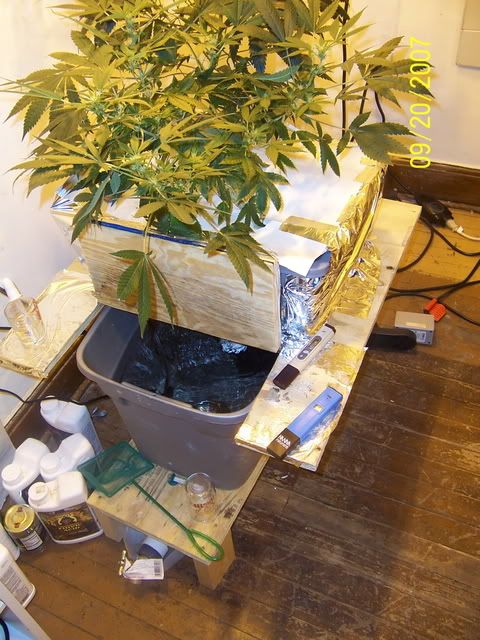 000_1594.jpg