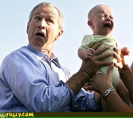 bush-baby.jpg