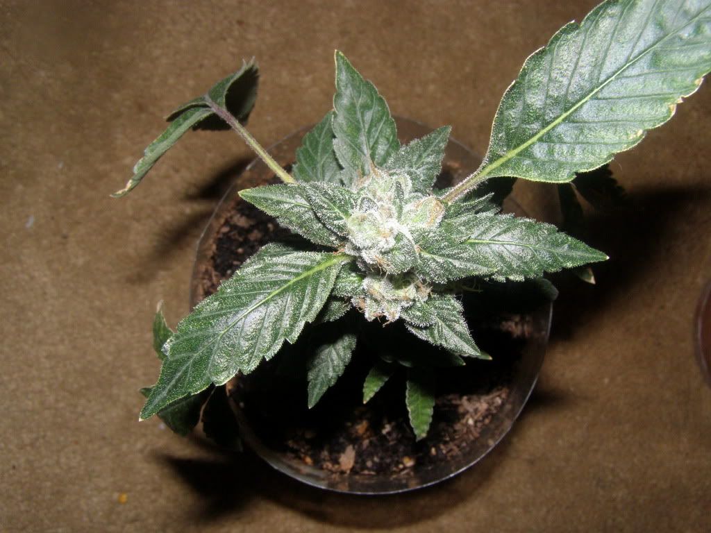 5-18-09007.jpg