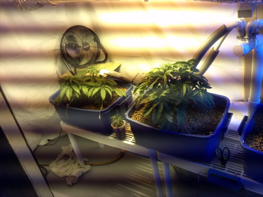 Day132.jpg