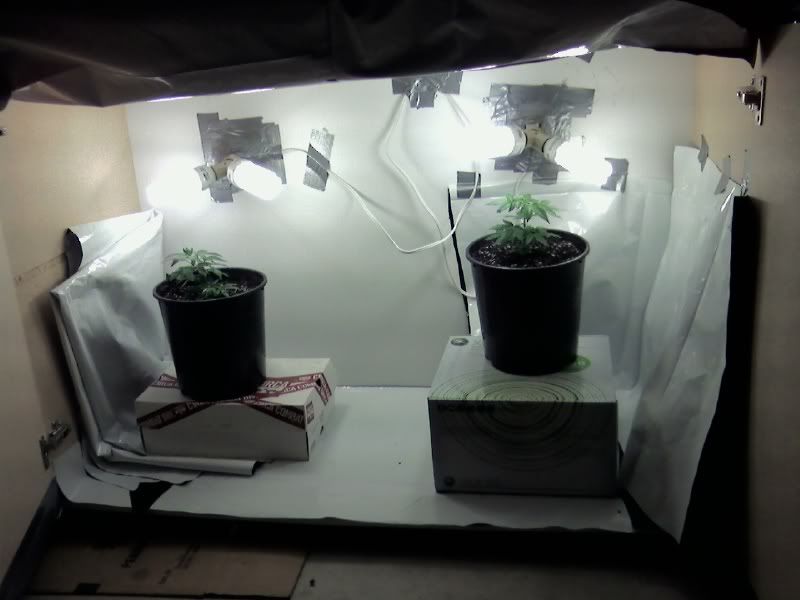 growcab.jpg