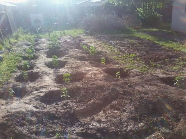 120419_002-1.jpg