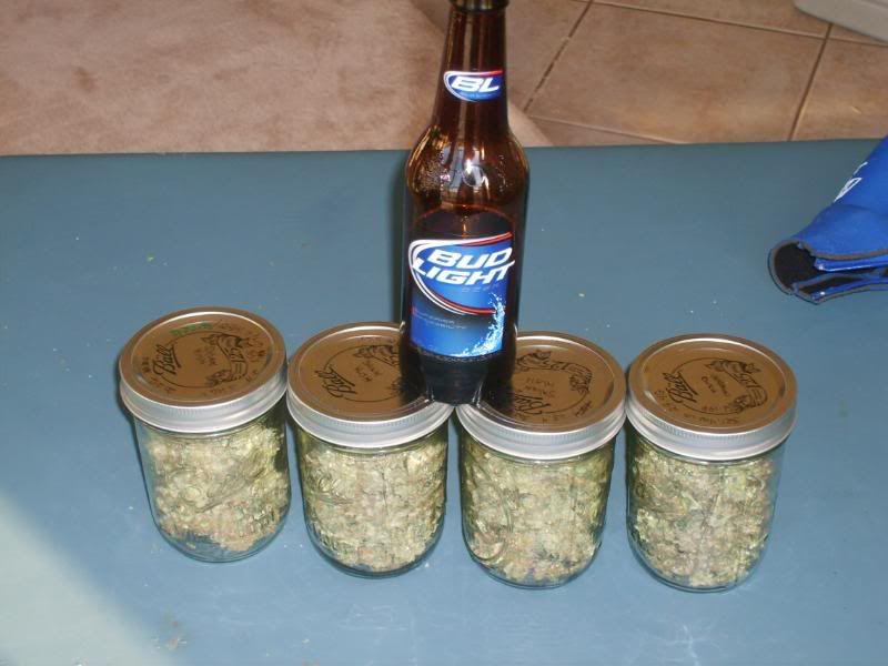 5daysdrying007.jpg