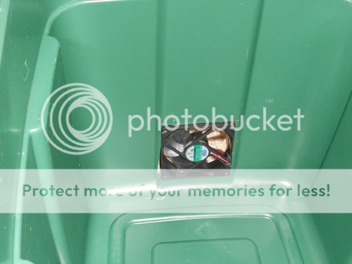 fanplacement2.jpg