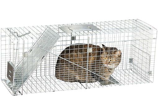hh-us-products-1099-humanesociety