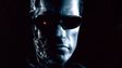 _79503567_arnie.jpg