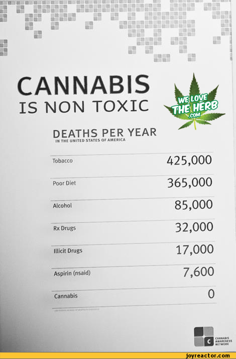 cannabis-weed-bud-pot-305087.jpeg