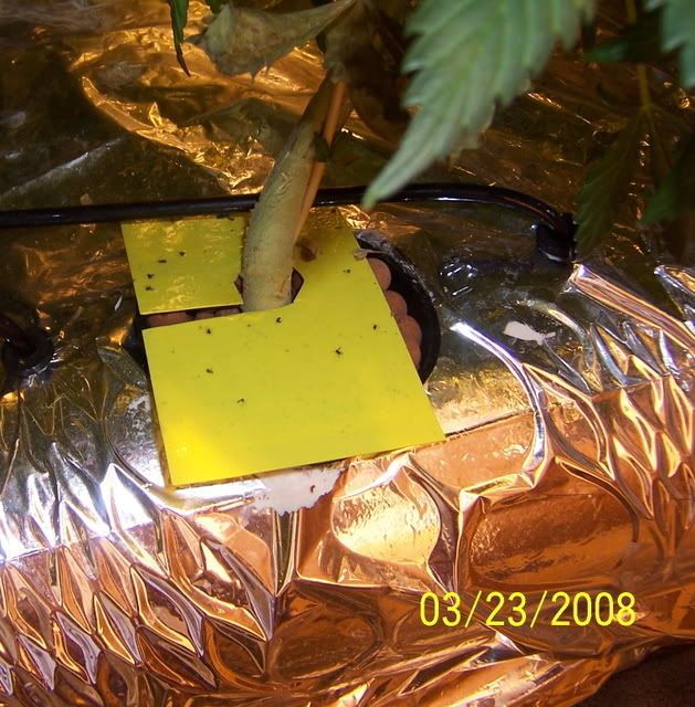 000_2944.jpg