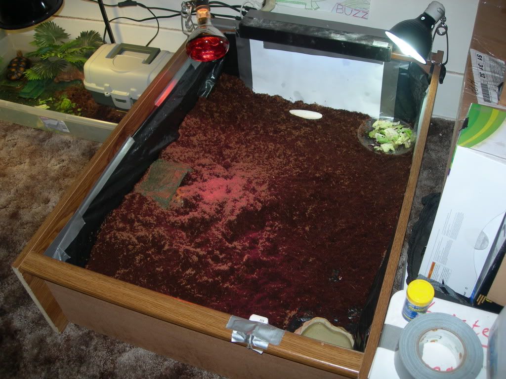 DSCN8965.jpg