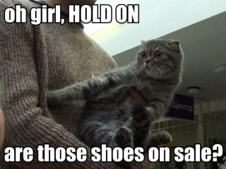 lolcatsdotcom3diz2mvz0wea5mho.jpg