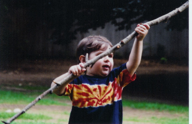 bigStick-res.jpg