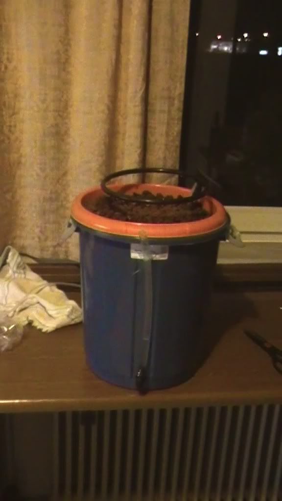 diydwc.jpg