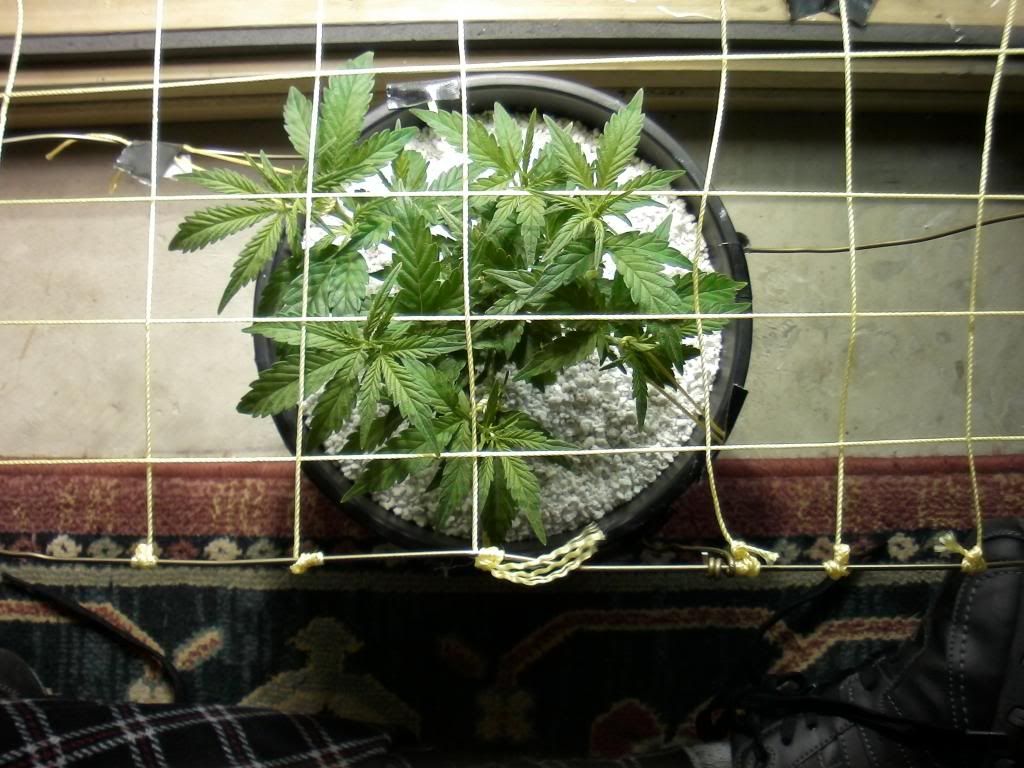 SAM_0766_zpsdfe01e3d.jpg