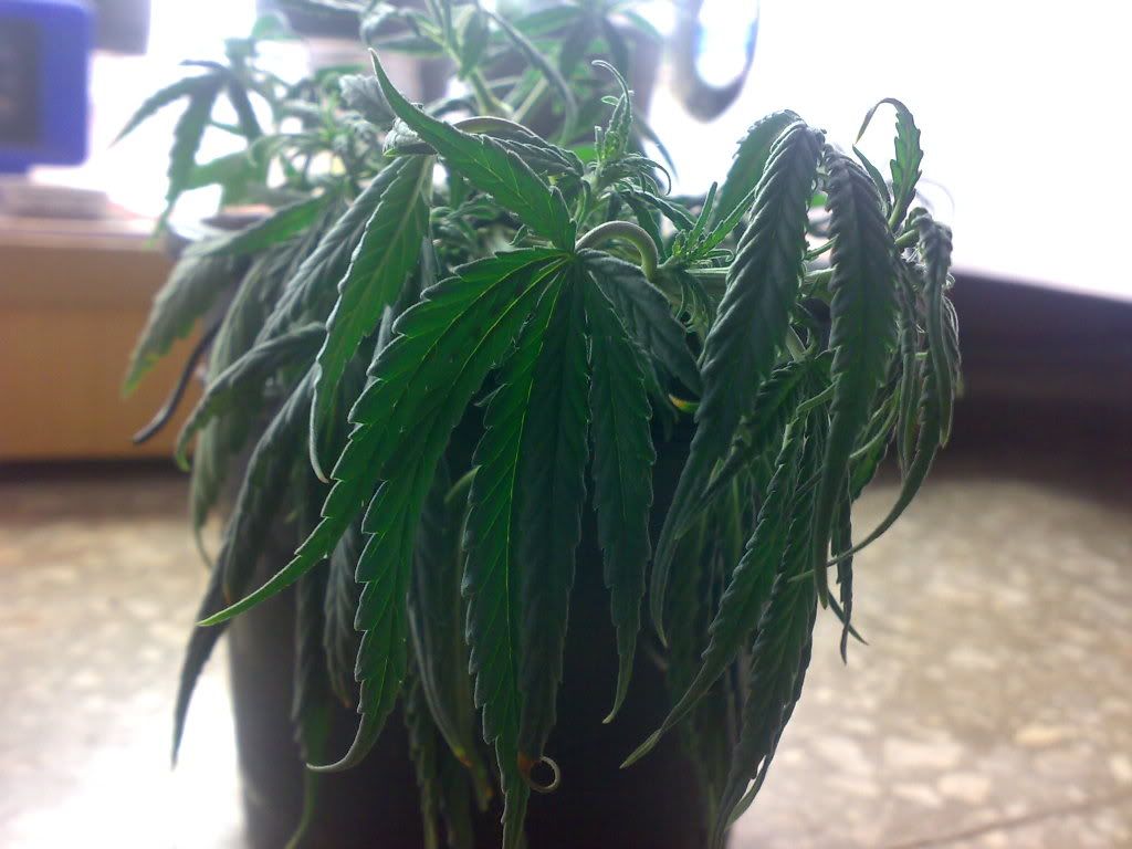 11012009386.jpg