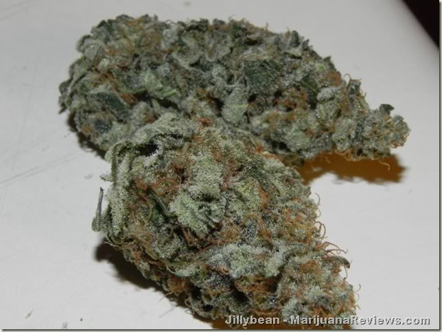 81610kush2pushjillybean.jpg