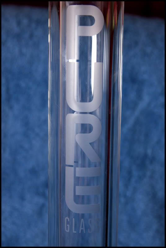 PureP-93.jpg