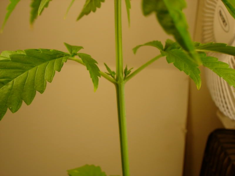 DSC04674.jpg