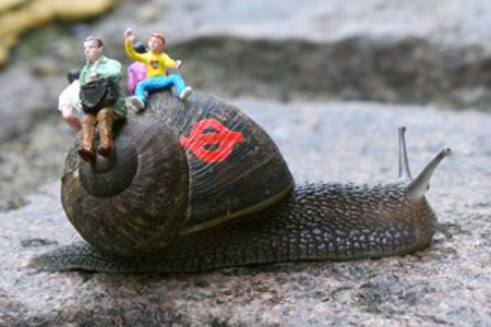 Snail3Free_450x300.jpg