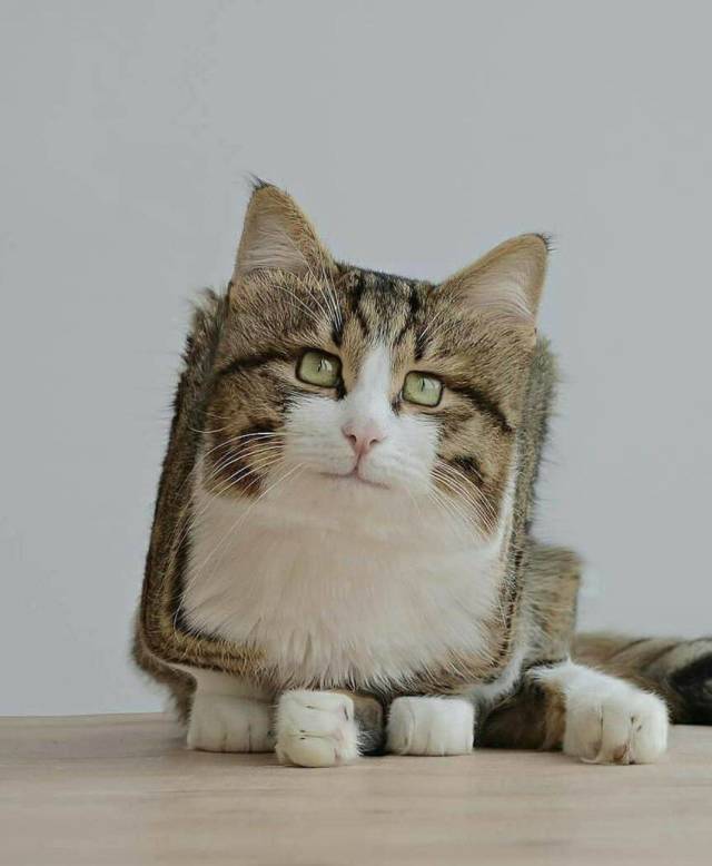 acid_picdump_81.jpg