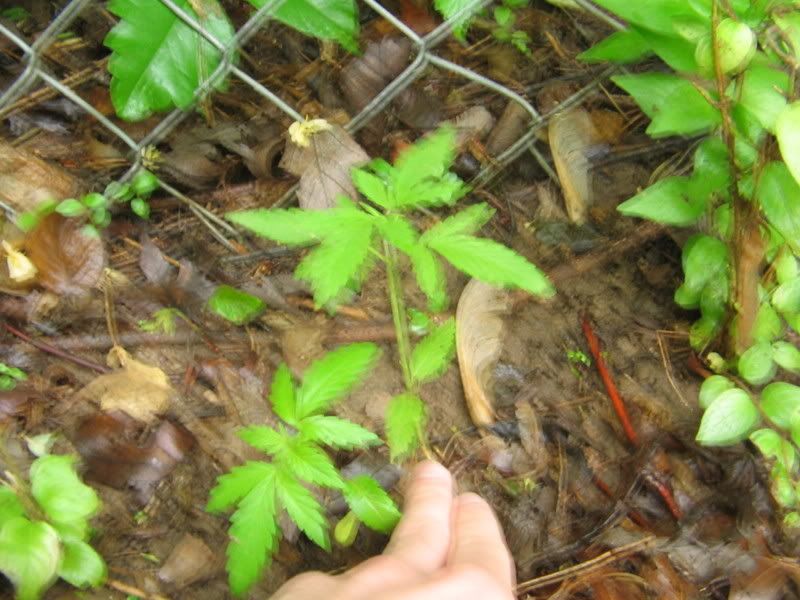 IMG_2057.jpg