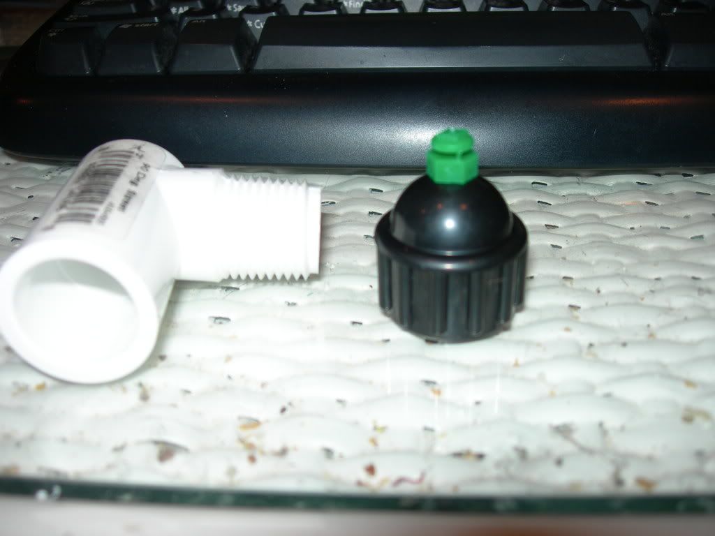 DSCN3597.jpg