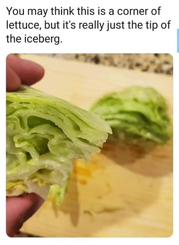 literal-memes-1.jpg