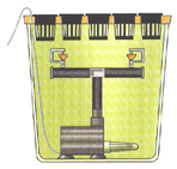 bouturette05.jpg