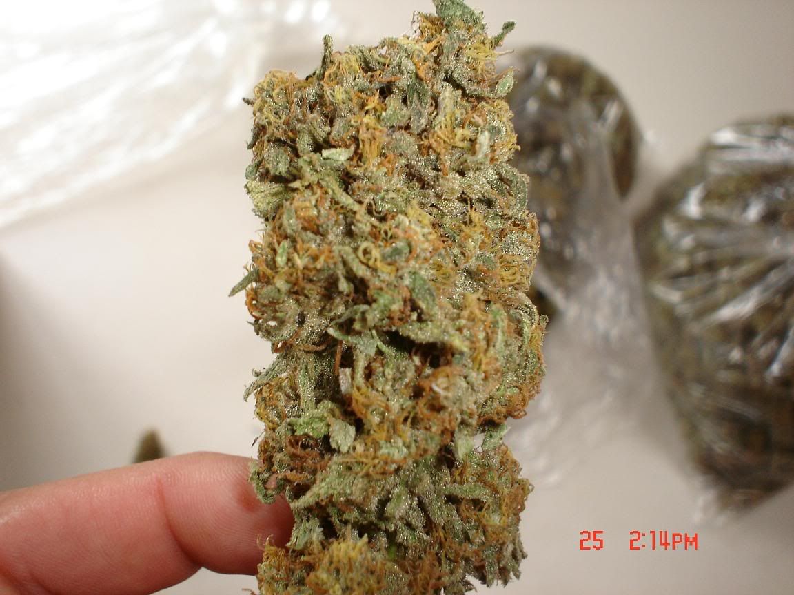 trainwreck-1.jpg
