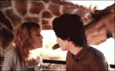 tumblr_o1miv0PLmb1tlb56zo1_500.gif