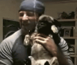 5BbcAHq.gif