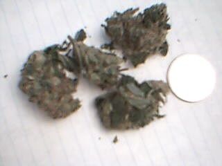 Picture3.jpg