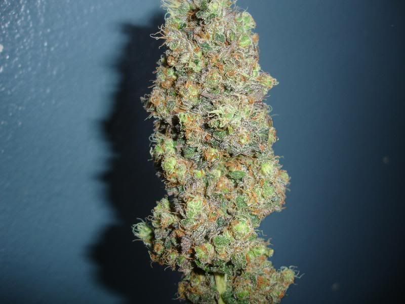 siccness123023.jpg