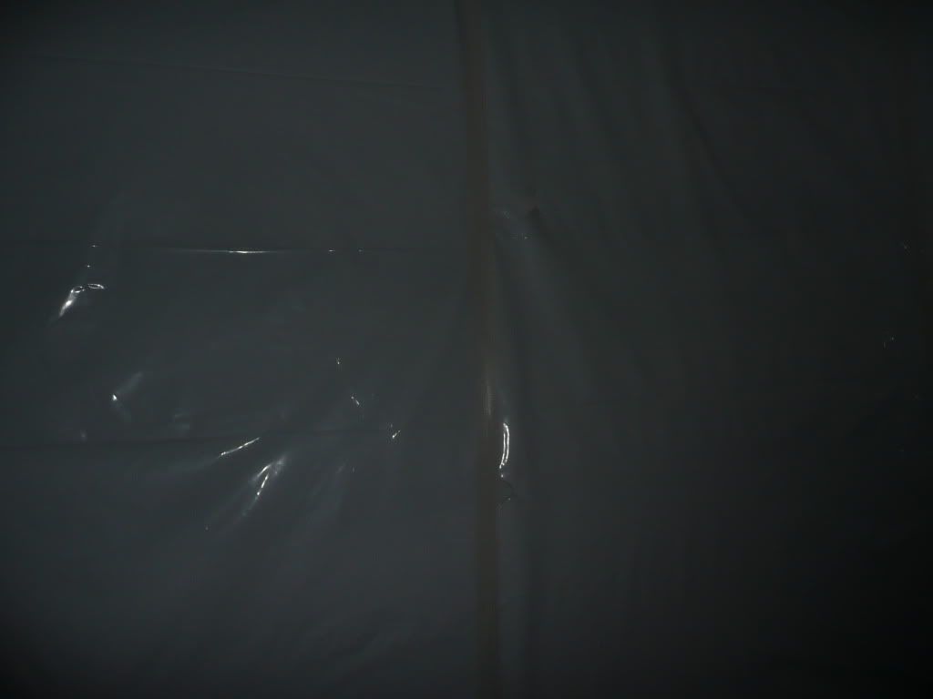 P1050304-1.jpg