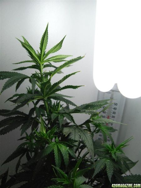 BB_CC_Update_Oct4_060.jpg