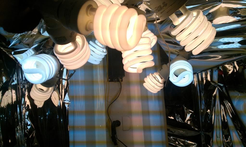 IMAG0868.jpg