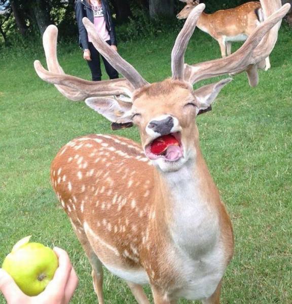 acid_picdump_68.jpg