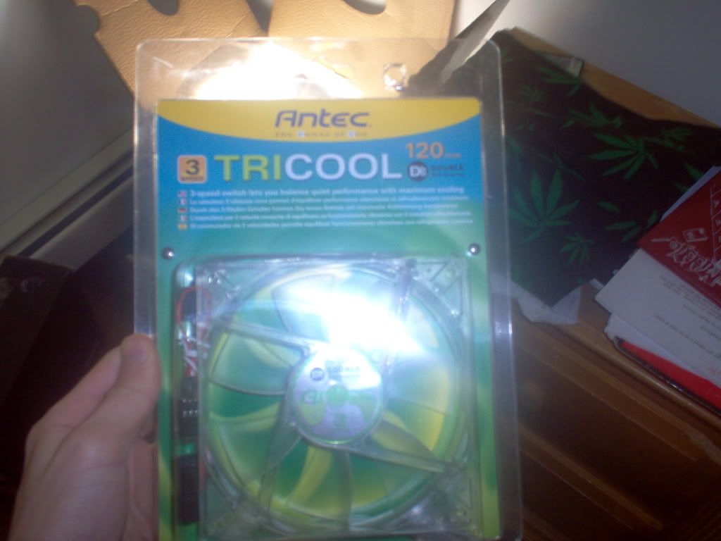 IM000050.jpg