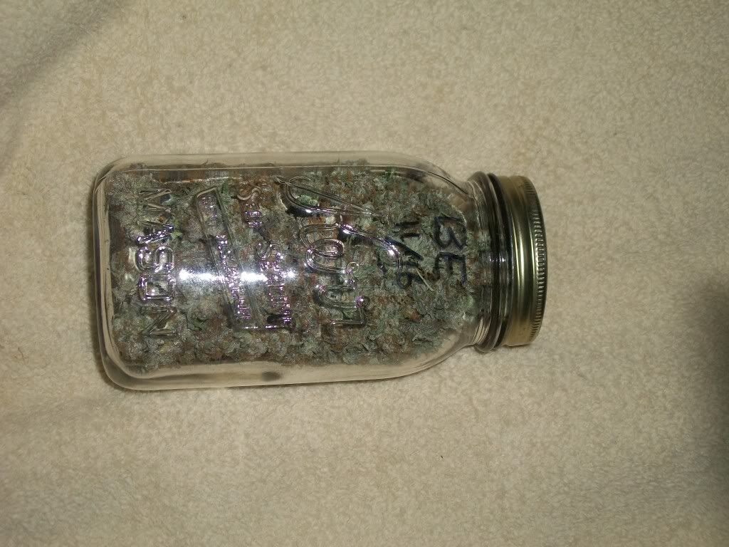11-21-11068.jpg