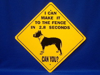 Pitbull_2.8_Seconds_Dog_Xing.JPG