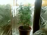 01-26-08_0948.jpg