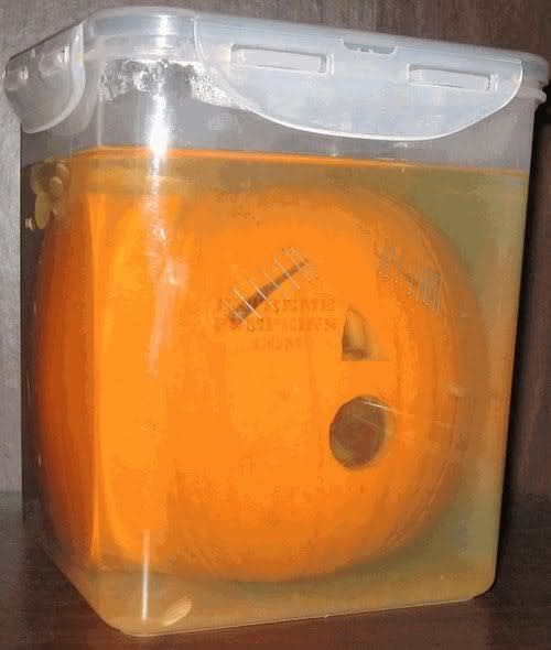 pumpk3.jpg