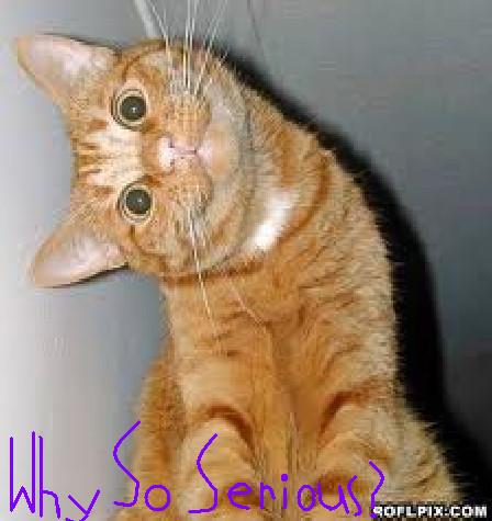 why_so_serious_cat_by_orgxiiifanatic-d4xvgls.jpg