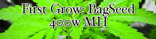1stgrow.jpg