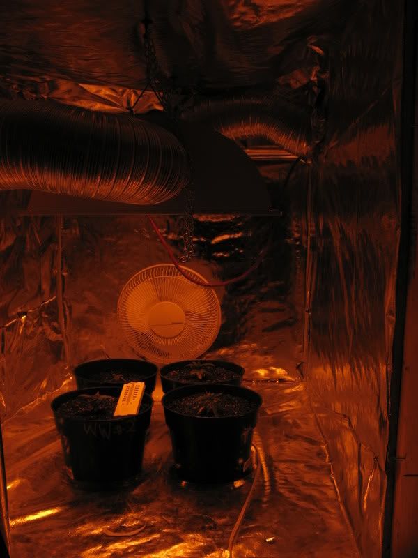 Picture009.jpg