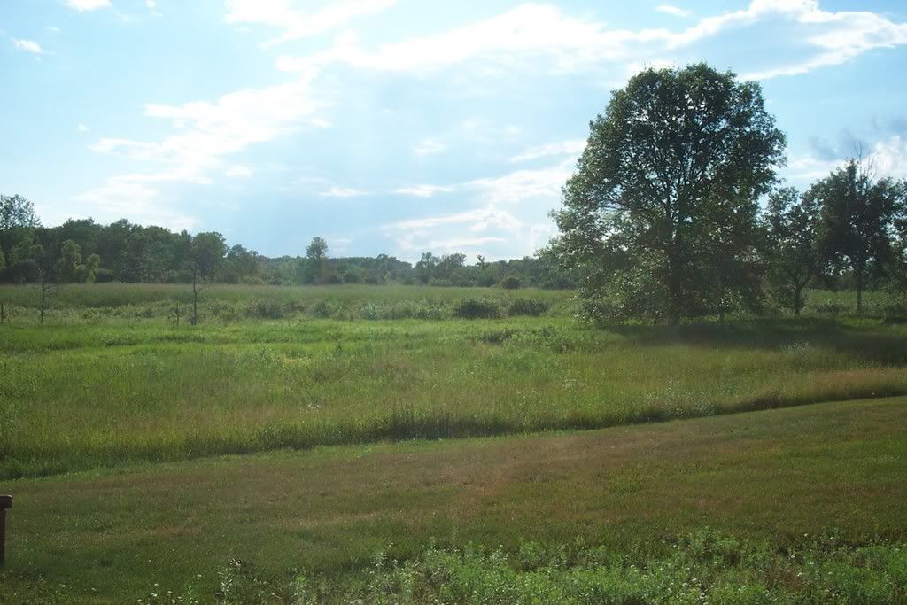 DCP_2377.jpg
